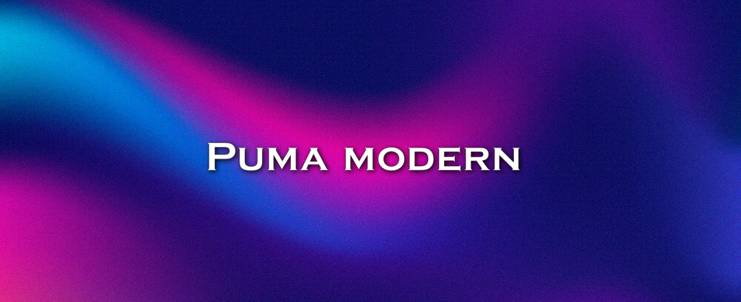 Puma modern 