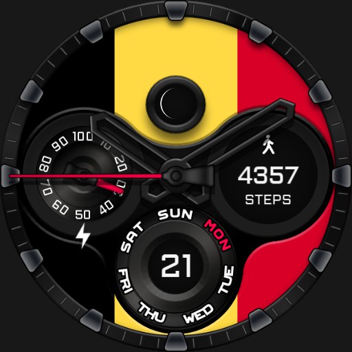 BELGIUM - World Cup 2022