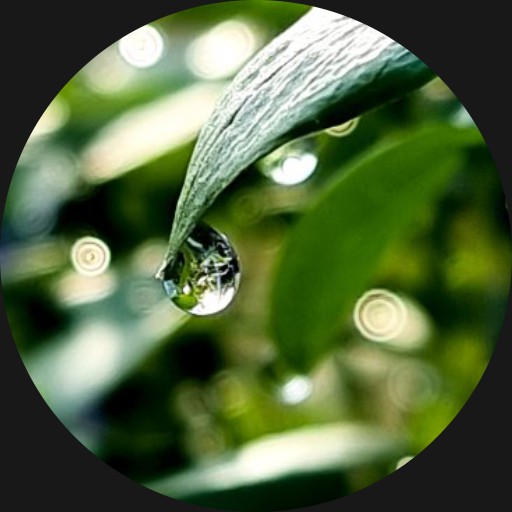 Jungle • WatchMaker the world's largest watch face platform