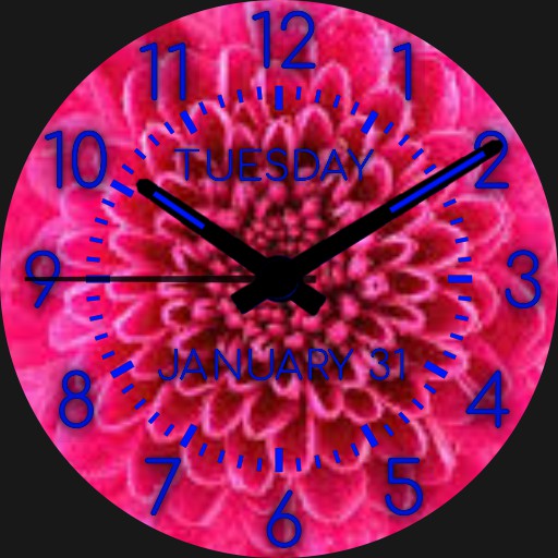 Pink Flower