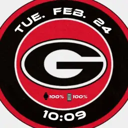 Georgia Bulldogs Copy
