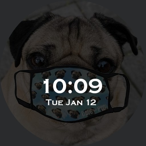 pug watches