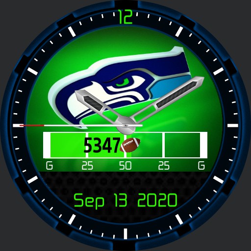 Football - Seahawks