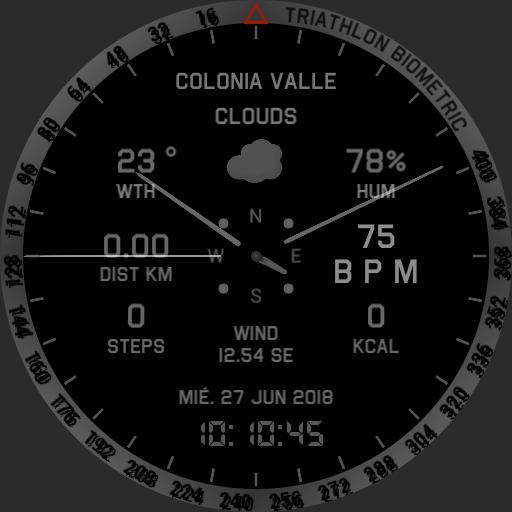 samsung gear s3 triathlon biometric full info grey