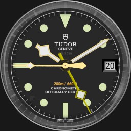 Nr. 3016 Tudor