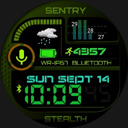 sentry