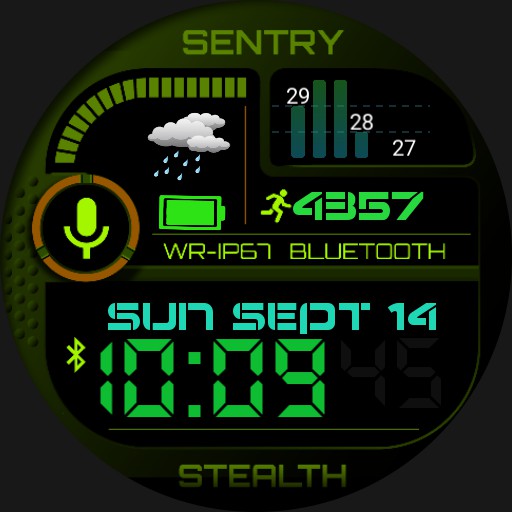 sentry