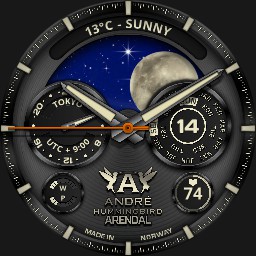HummingBird Arendal MoonPhase 140925