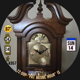 GRANDFATHER CLOCK Tells The Time - WOS6