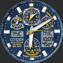 CITIZEN jr Copy