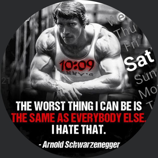 Arnold Motivation 1