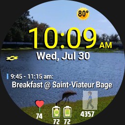 HOUSE LAKE VIEW w/Moving Bird & Boy - WOS6 - Furmaniac
