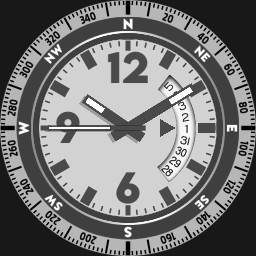 Brute Compass PATHFINDER Professional Interactive Compass with Declination Watch