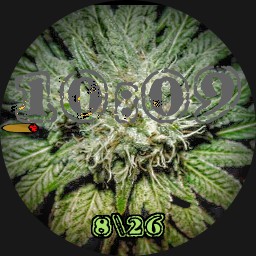 420