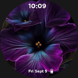 Purple flower 