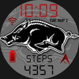 HOGS 2025
