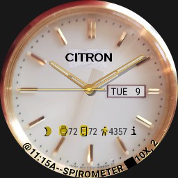 CITRON WATCHES x 3 - Changes Each Min or Select One - Furmaniac