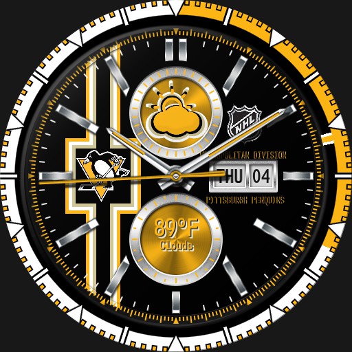 Pittsburgh Penquins NHL