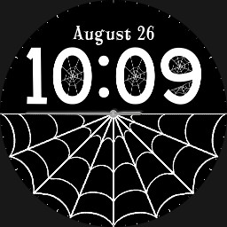 Spider Web