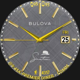 SINATRA - Tan or Gray Dial Changes Each Min - WOS6 - Furmaniac