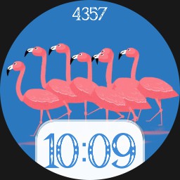 Flamingogo