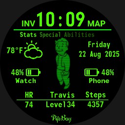 Fallout Pip-Boy 4 scaling and Level/age 