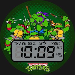 TMNT 12-24