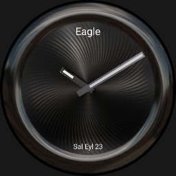 grey and eagle