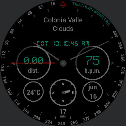 sansung gear s3 triathlon biometric pro