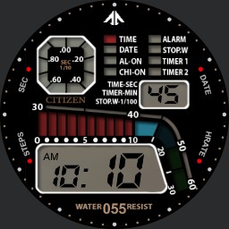 Citizen D060 Windsurfer