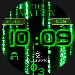 WALKS WATCH MATRIX 1
