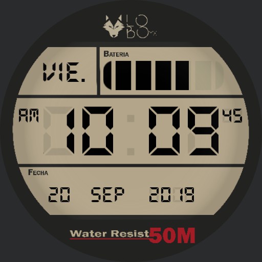 LOBOmx retro digital