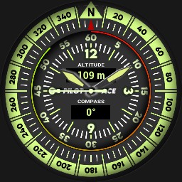 Brute PILOT ACE Compass Military Field Watch