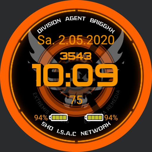 Division Agent Briggxx