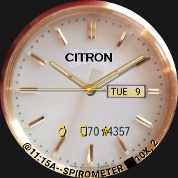 CITRON WATCHES x 3 - Changes Each Min -  wos6 - Furmaniac