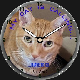 Cat calling