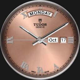 Tudor watch