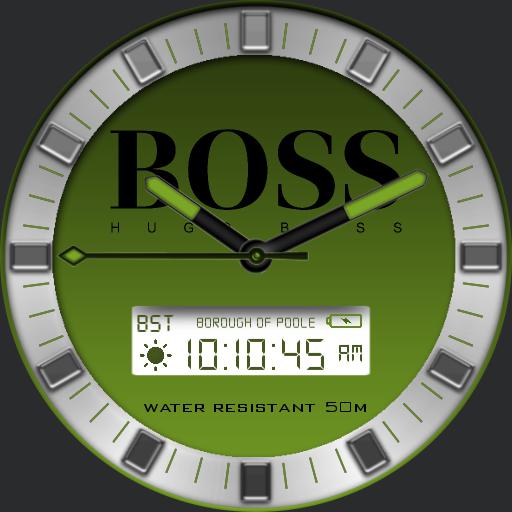 Hugo Boss Green