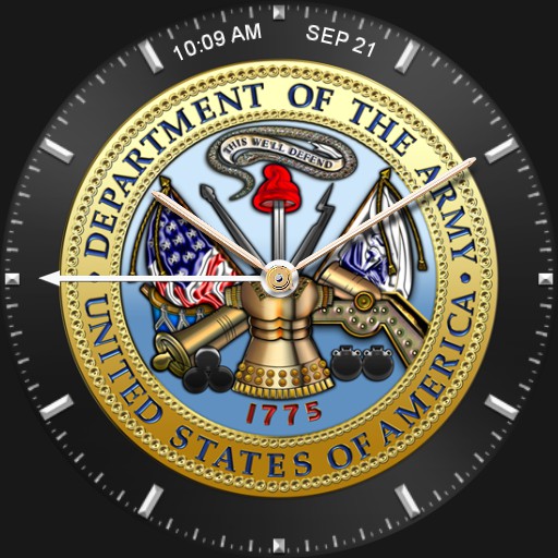 US Army Chrome and Gold