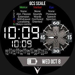 EMS Digital with GCS - greyscale
