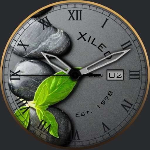 zen stone metal watch