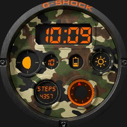 GSCV1