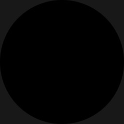 Flash watch