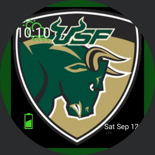 USF BULLS