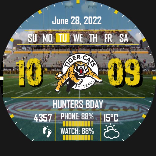 Tiger Cats At A Glance 2021