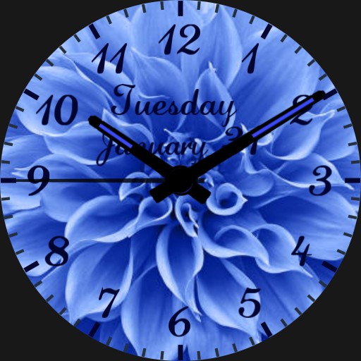 Blue Flower