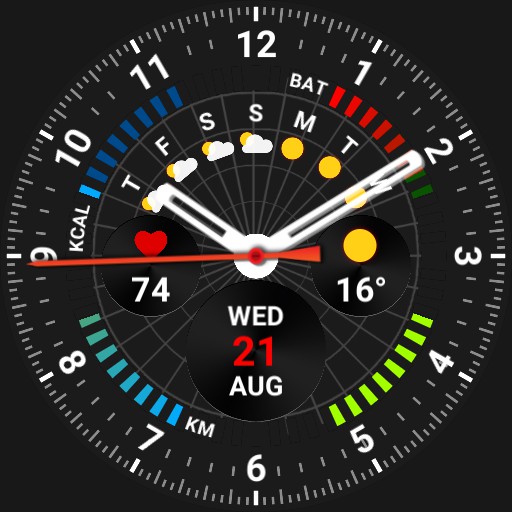 Brute ULTRA Weather and Multi Info