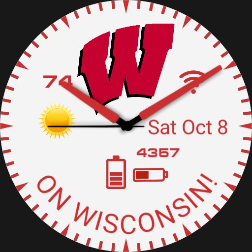 Wisconsin Badgers