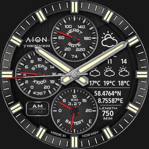 AION Classic Trekker 