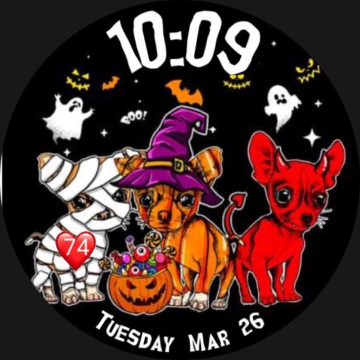 Halloween Chihuahuas Party